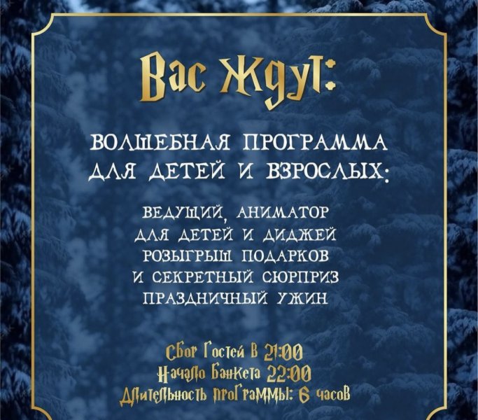 Новый год в экопарке Чкаловские дачи